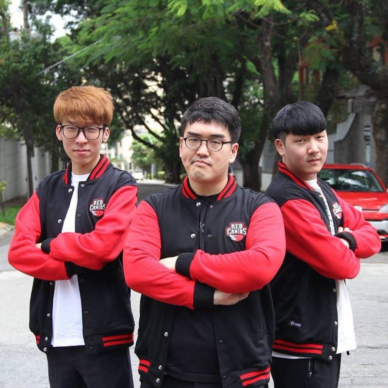 RED Canids estreará Winged e Sky no CBLoL contra a ProGaming Mais