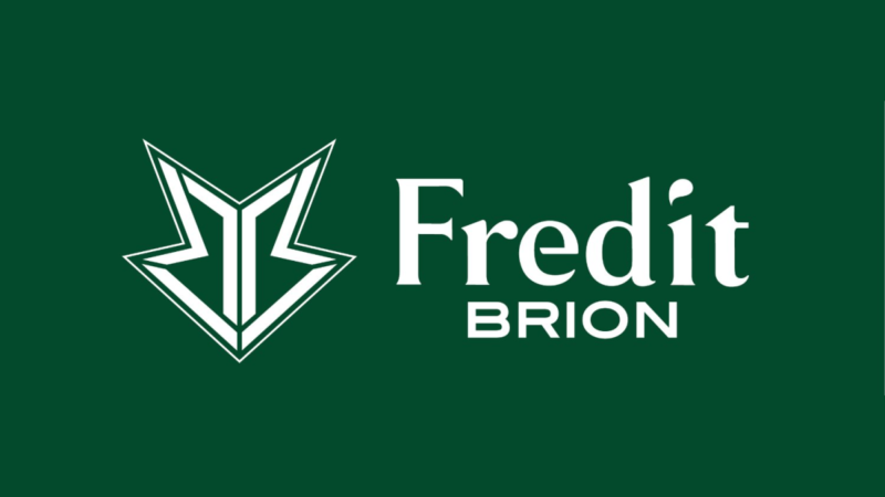 Imagem da logo da Fredit Brion 