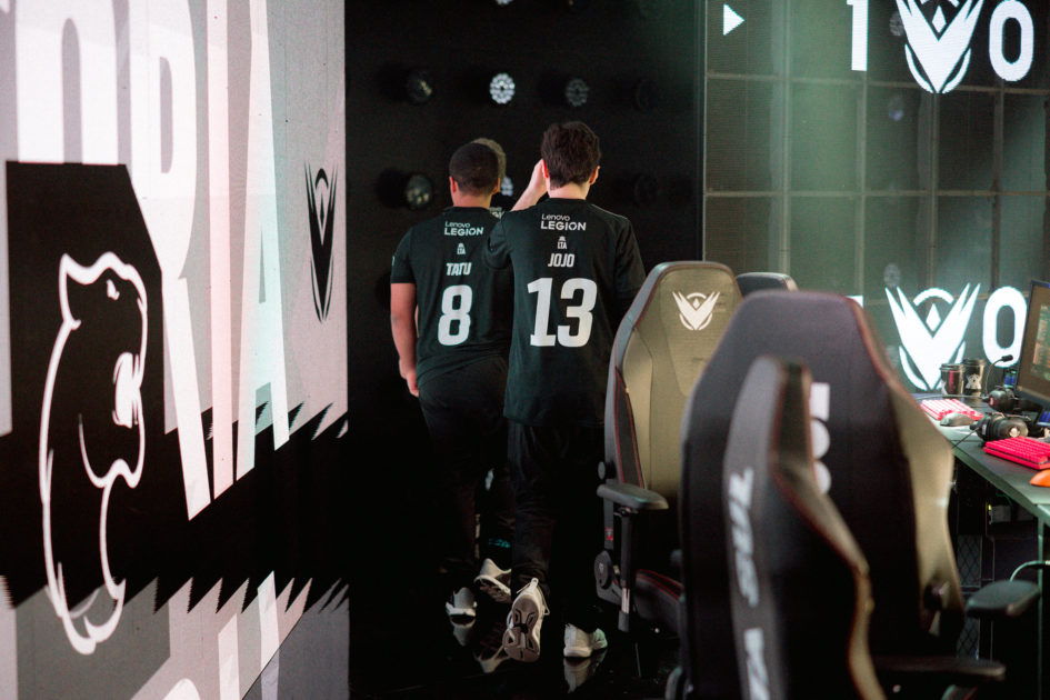 Foto de Jojo e Tatu de costas.