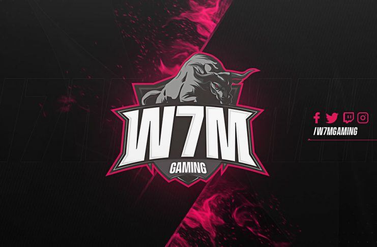 W7M anuncia lineup de Fortnite - Mais Esports