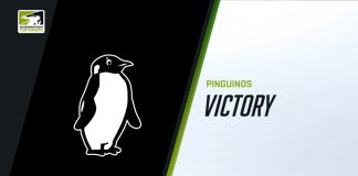 Overwatch: Quem disse que pinguim não voa? &#8211; Entrevista com Jhein, da Pingüinos