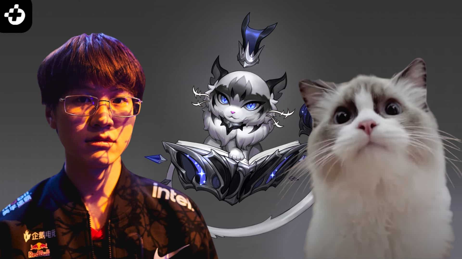 EDG Meiko Turned His Cat Into A Skin!